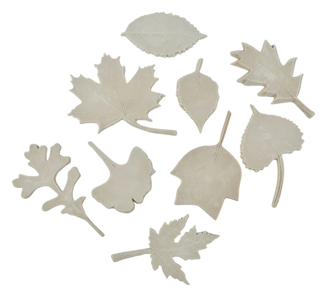 Outlet β Sax Leaf Prints, Assorted Sizes, Brown, Set Of 10 β